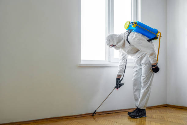 Best Real Estate Pest Inspections  in Vaughn, WA